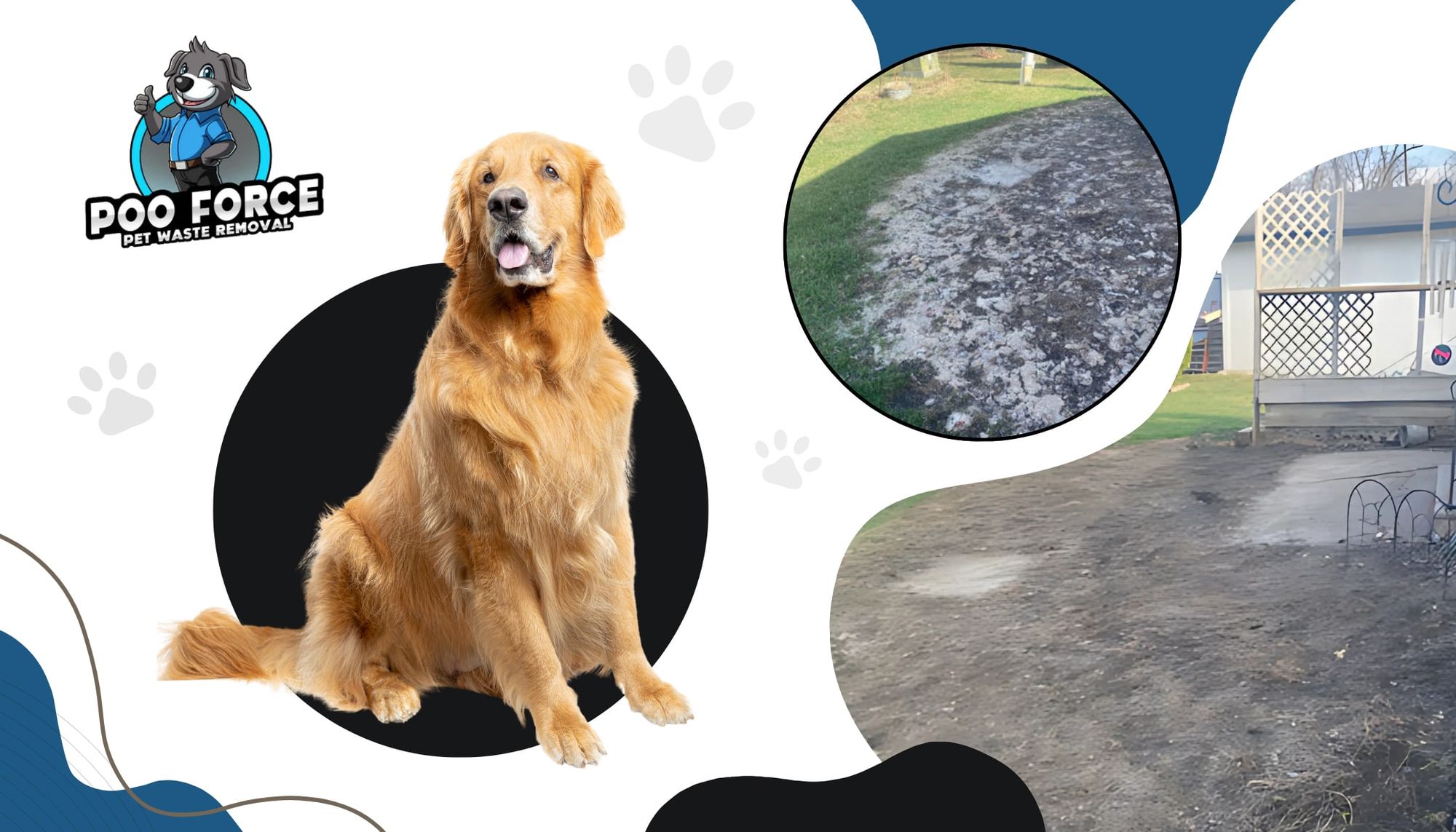 Poo Force Dog Poop Clean Up